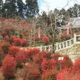 呑山観音寺
