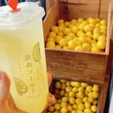 鎌倉チュロス