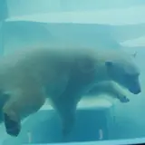 センタードーム海獣館