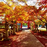 高山寺