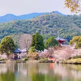 大覚寺