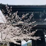 嵯峨釈迦堂（清凉寺）