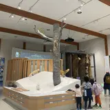妙高高原ビジターセンター