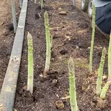 むすび