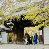龍安寺