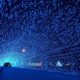 金ケ崎緑地