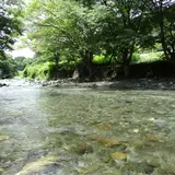 道志川