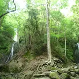 雄滝雌滝