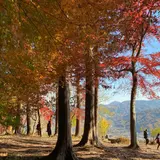 宝登山