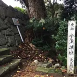 小浜城址