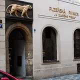 U zlatého tygra