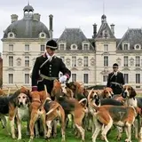 Chateau de  Cheverny