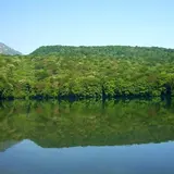 蔦七沼