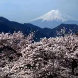 真木お伊勢山