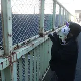 紅葉坂橋