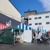 千代菊
