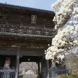 熊谷寺