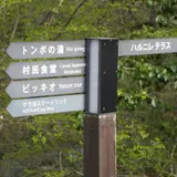 ハルニレテラス