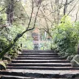 紅葉谷公園
