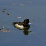 大野貯水池