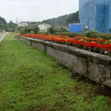 芦場新田