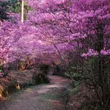 伊奈冨神社