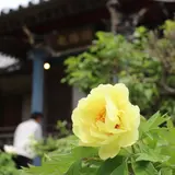 神宮寺