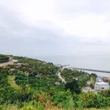 河内町河内