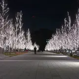 みんなの森 メディアコスモス