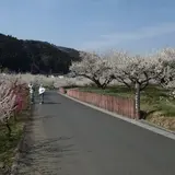 自然休養村センター