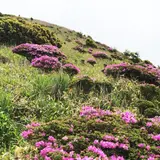 涌蓋山
