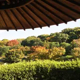 大仙公園・日本庭園