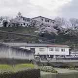 向島