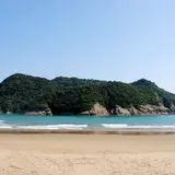 幸島