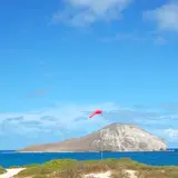 ラビット島