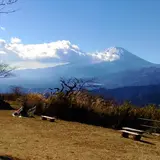 大野山