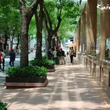 Đồng Khởi