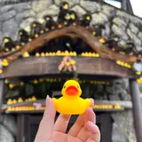 アヒル神社