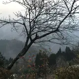 民宿焼畑