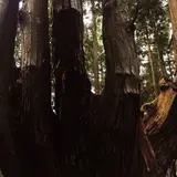 祇園山