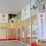 秋田犬ステーション