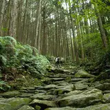 熊野古道馬越峠