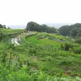 鬼取町