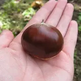 西木観光協会