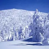 阿仁スキー場