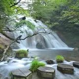 男池湧水群