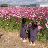 キリンビール 福岡工場