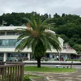 道の駅 フェニックス