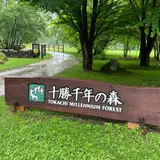 十勝千年の森