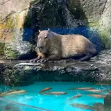 ジャングルワールド